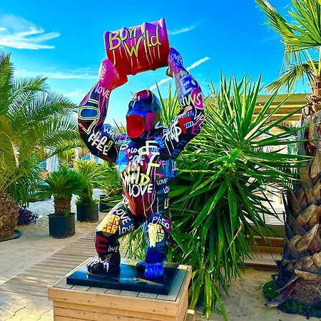 Polarstar * Sveti Vlas